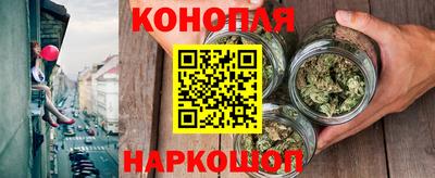 PSILOCYBIN Будённовск